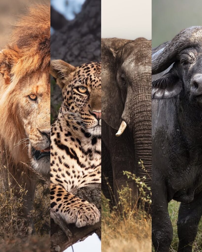 3 Days Queen Elizabeth NP and Lake Mburo Safari