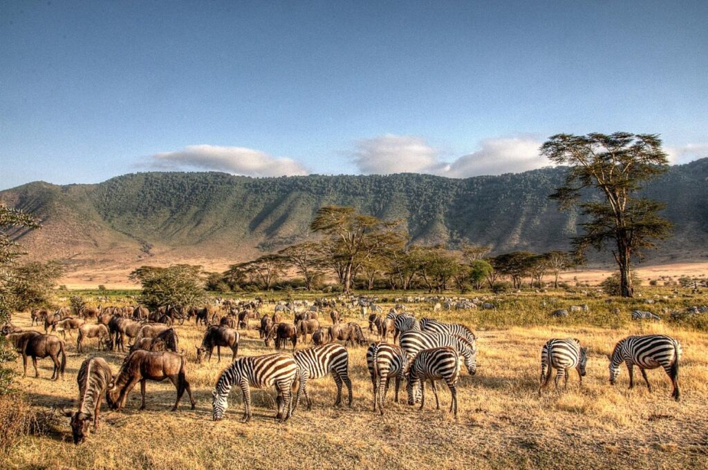 Top 10 Tanzania Travel Tips